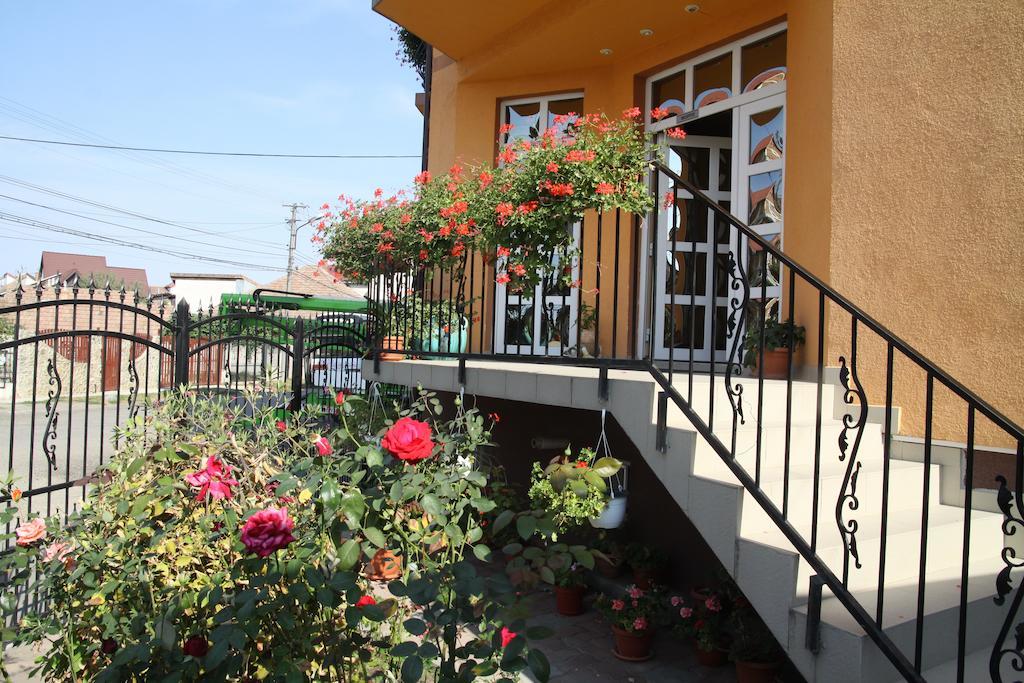 Pensiunea Amso Sibiu Exterior foto