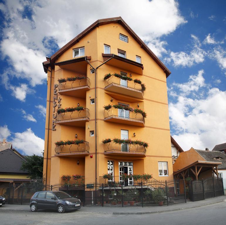 Pensiunea Amso Sibiu Exterior foto